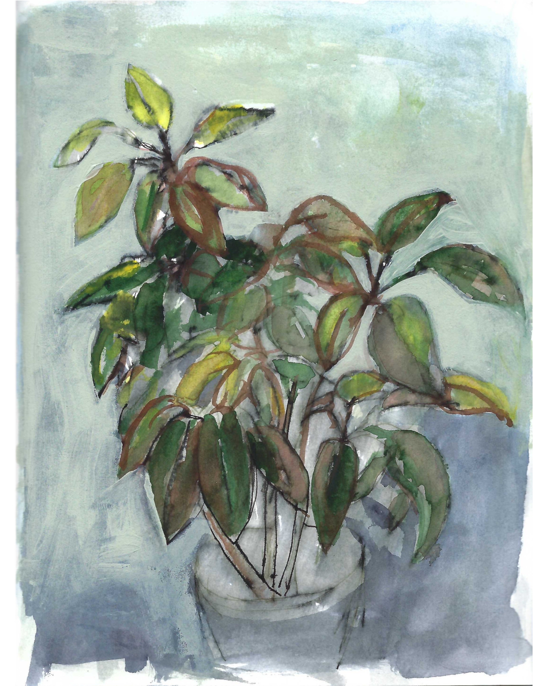 Schefflera perhaps, page from sketchbook, watercolour & acrylic.

#Schefflera #plantdrawing #plantpainting #sketchbook #markdixon #botanicalart