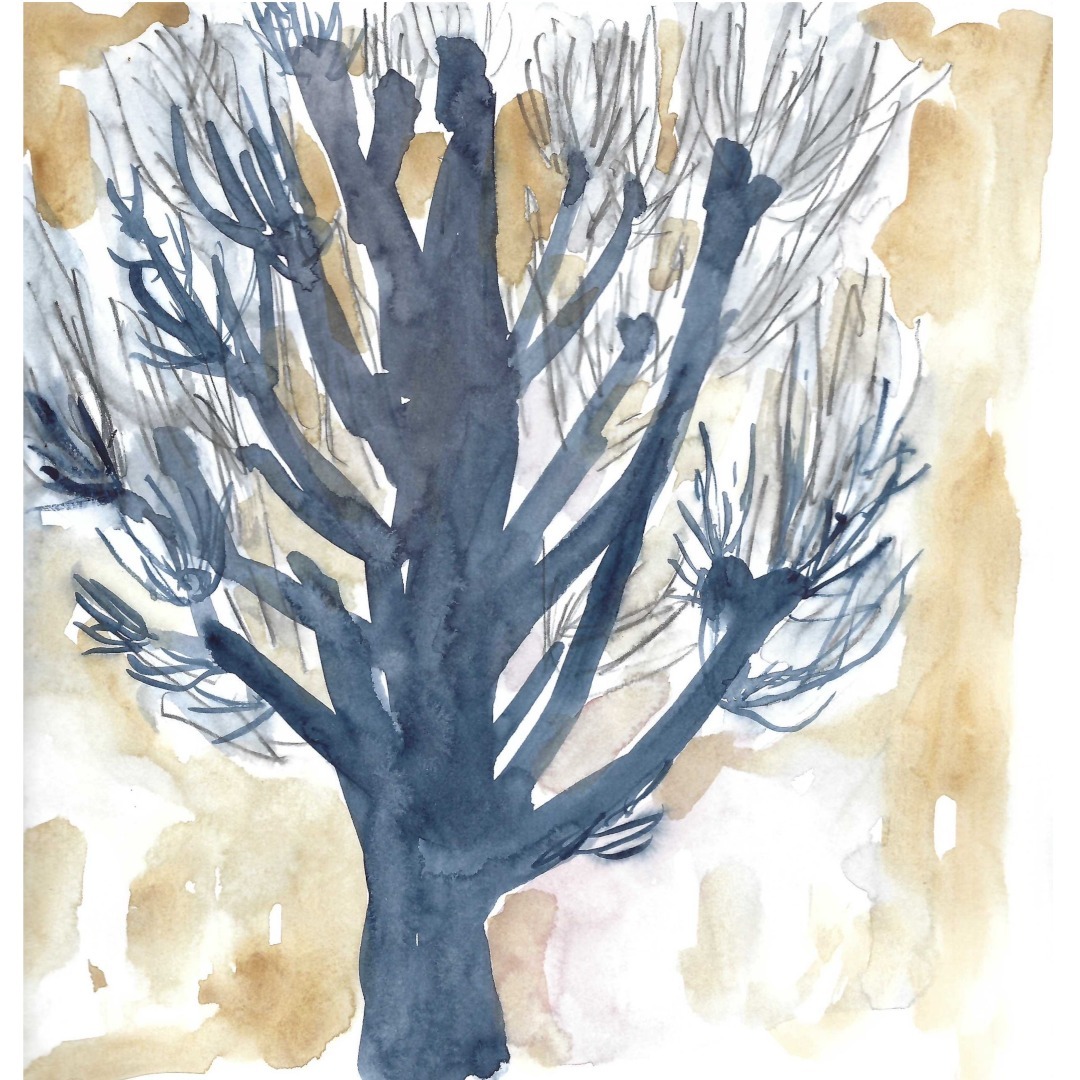 Coppice, a page from my Fall 2023 sketchbook.

#sketchbook #watercolour #coppice