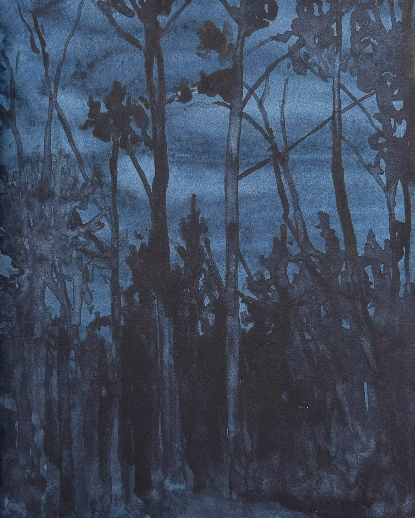 Forest at night series. 

#sketchbook 

#forestpainting #landscapesketchbook #nightdrawing #laurentides #artlaurentides