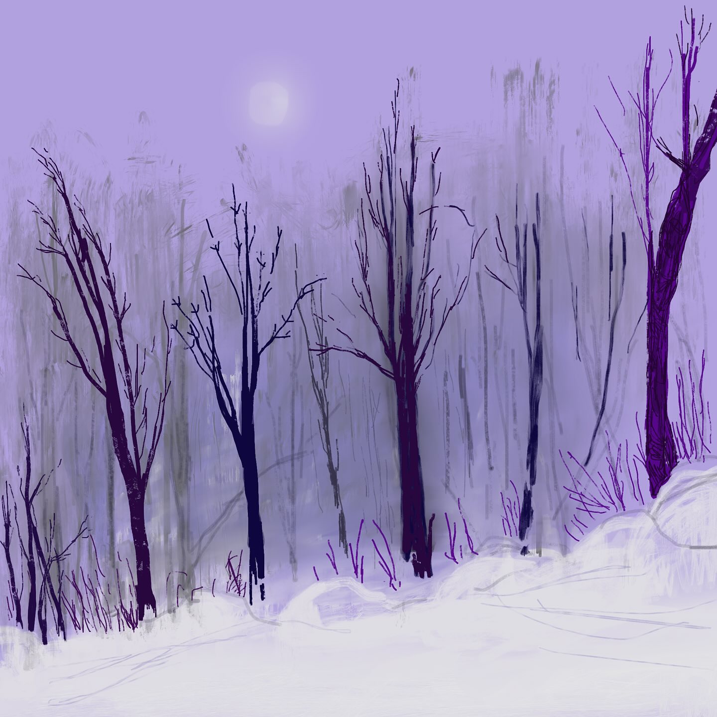 Ski hill through goggles.
#digitallandscape