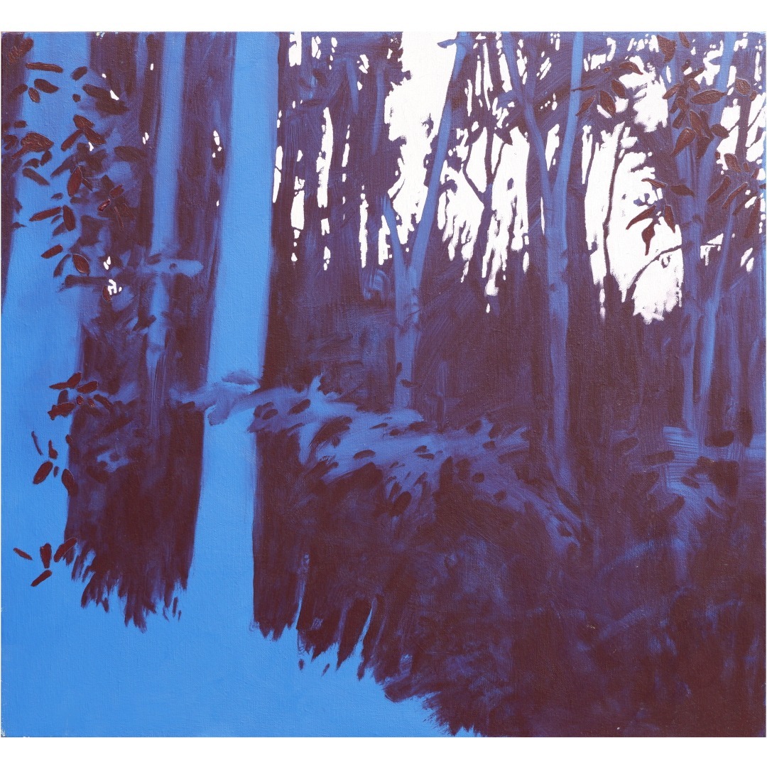 Blue forest, the pink sky never translates for the camera - feet in the moss.