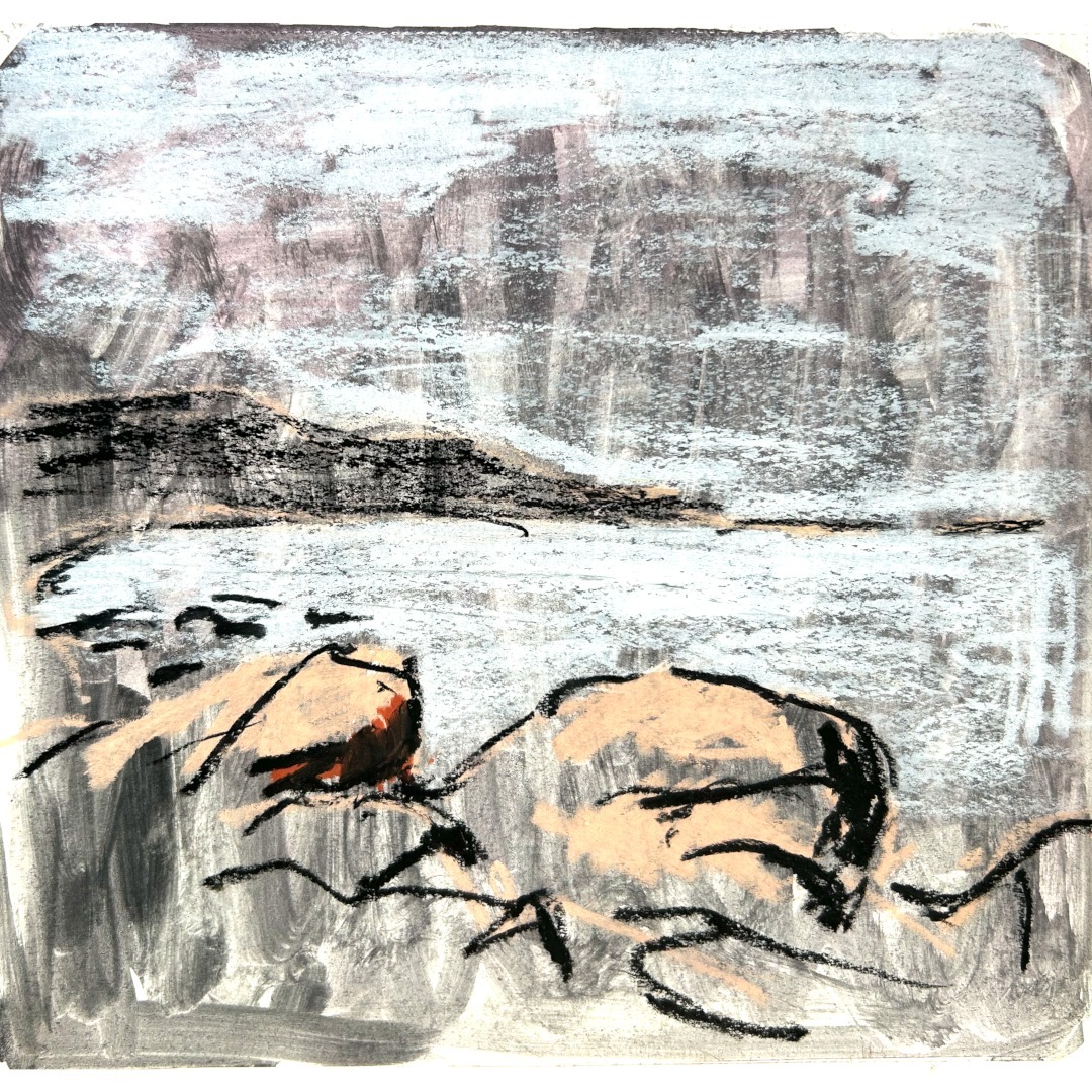 Rocks on a beach, Ãle Verte, QuÃ©bec

Found an old sketchbook that I tool on a trip to the island a few years ago. Amazing spot in the St. Lawrence river.

#ileverte #landscapesketchbook #paysagequebec #rockybeach