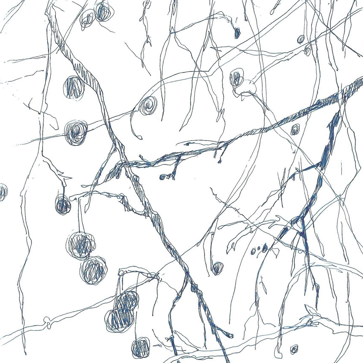 Lisbon tree.

Small sketchbook.

#lisbondrawing #treedrawing