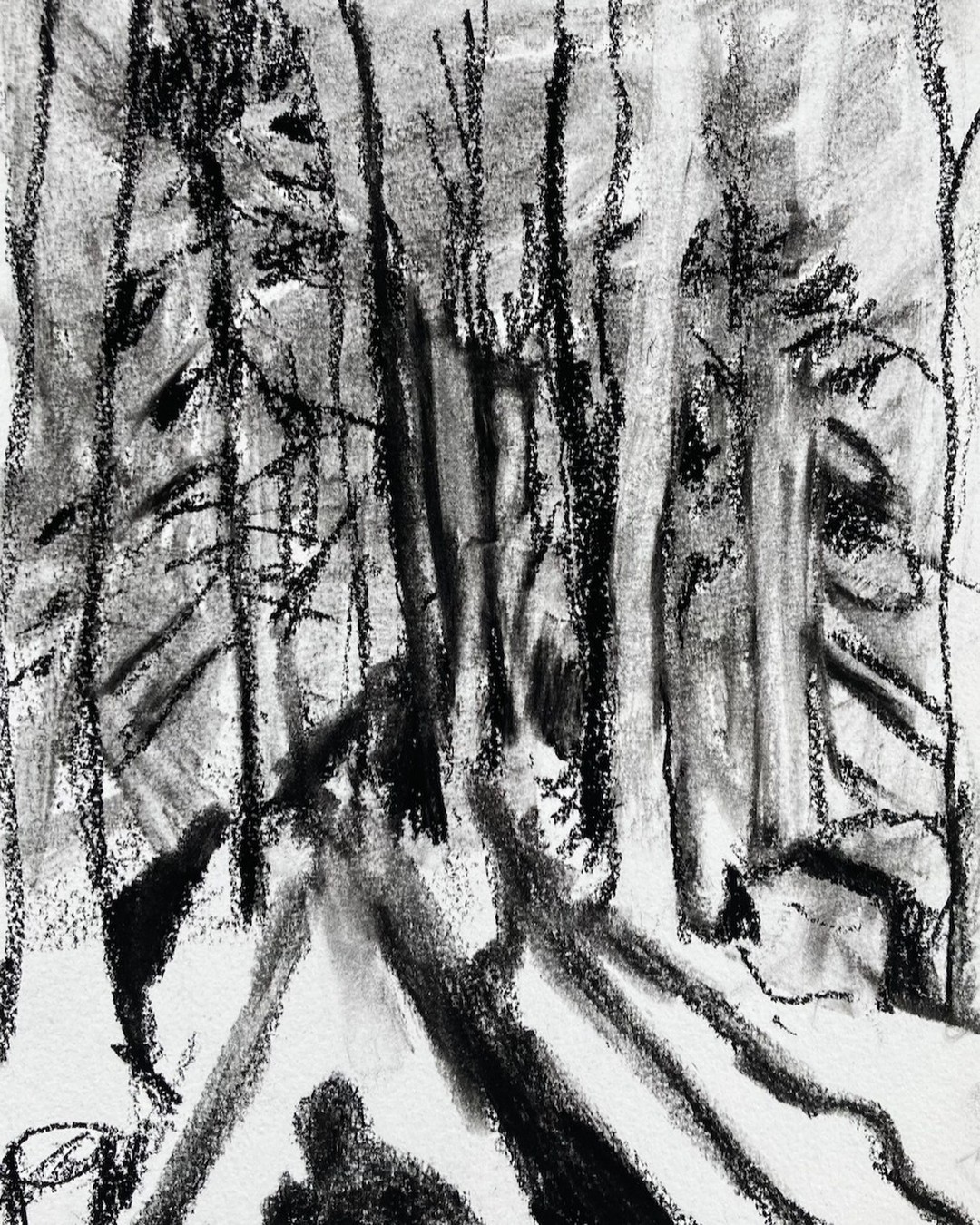 Forest self-portrait, sun at my back.
A drawing from last weekend.

#charcoaldrawing #landscapedrawing #laurentides #quebec #pleinair #markdixon #artonpaper #artsurpapier #workonpaper #selfportrait