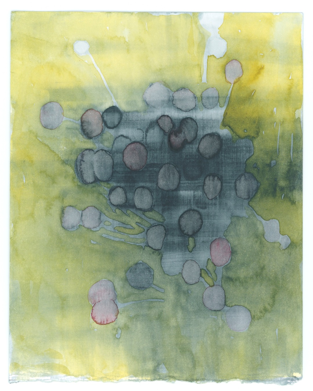 Gomphrenas are pretty much my favourite flowers as of late.

Small watercolour on paper.

#gomphrenas #flowerpainting #organicabstraction #smallpaintingonpaper #canadianpainter