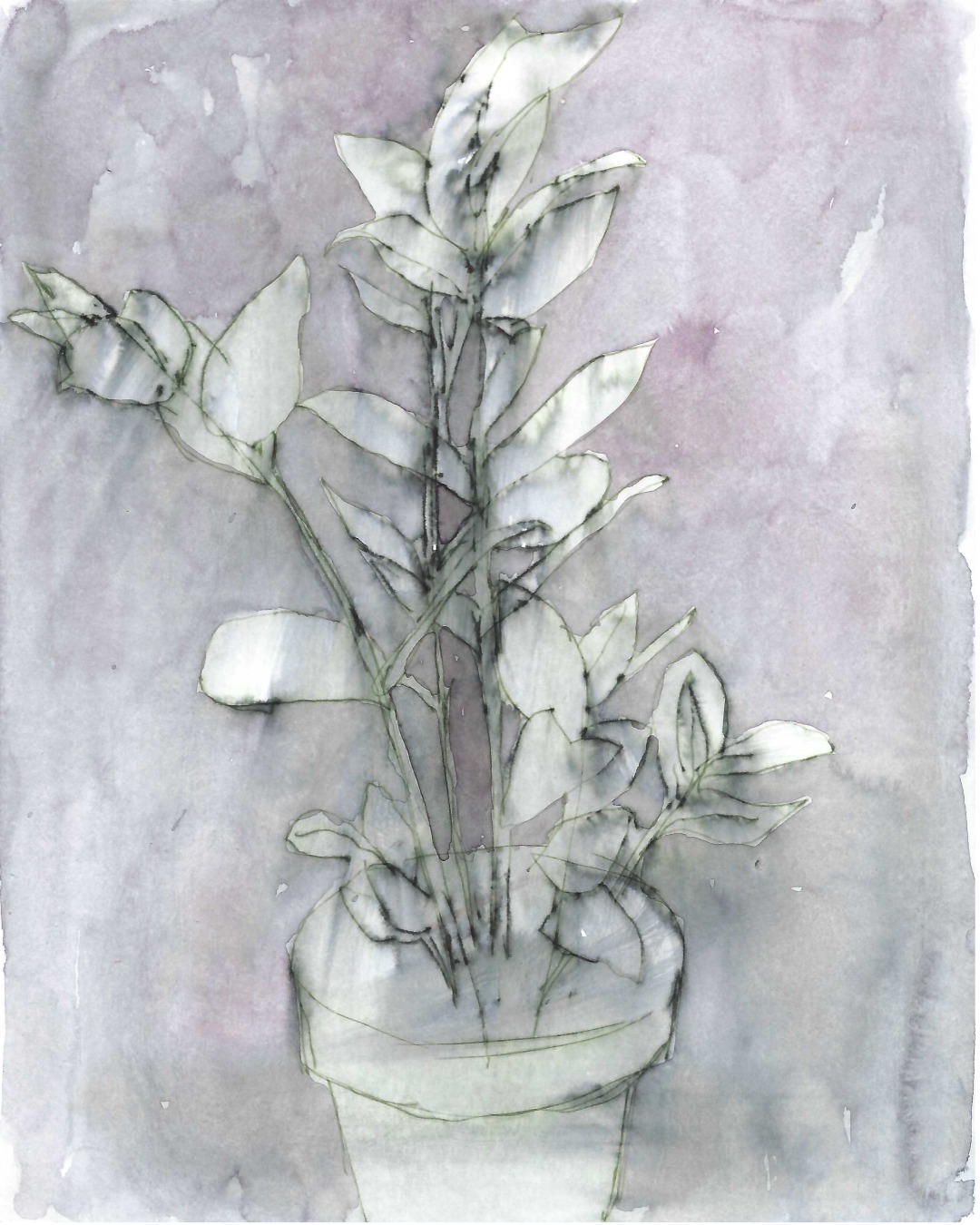 potted plant, ink & watercolour on paper, 25 x 20 cm.

Feb 2024

#watercolour #plants #watercolourplants #drawing #plantdrawing