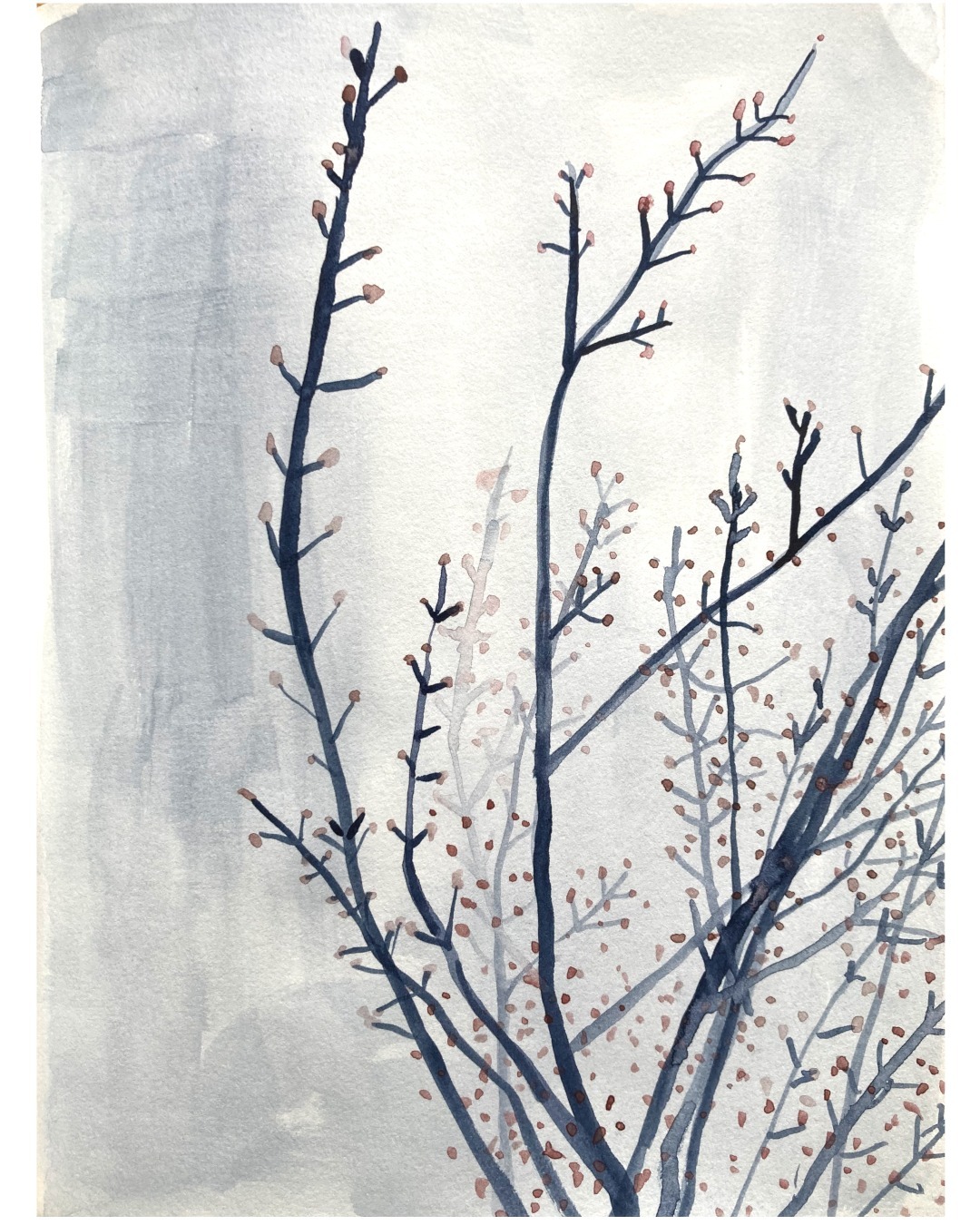The maple buds are showing their spring colours. A page from my larger sketchbook.

April 28, 2024

#mapletreepainting #treewatercolor #laurentides #landscapepainting #landscapesketchbook