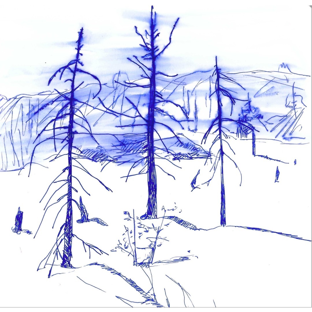 a frozen beaver lake - page from sketchbook
ink on paper

#sketchbook #artonpaper #artsurpapier #canadianart #contemporaryart
#artcontemporain #markdixon #landscape #landscapedrawing #landscapepainting