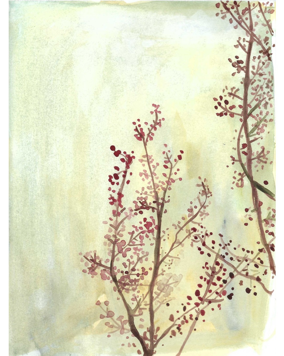 Another from the small series of Spring tree buds.

April 28, 2024.

#treepainting #sketchdaily #sketchbookdrawing #artlaurentides #landscapesketchbook