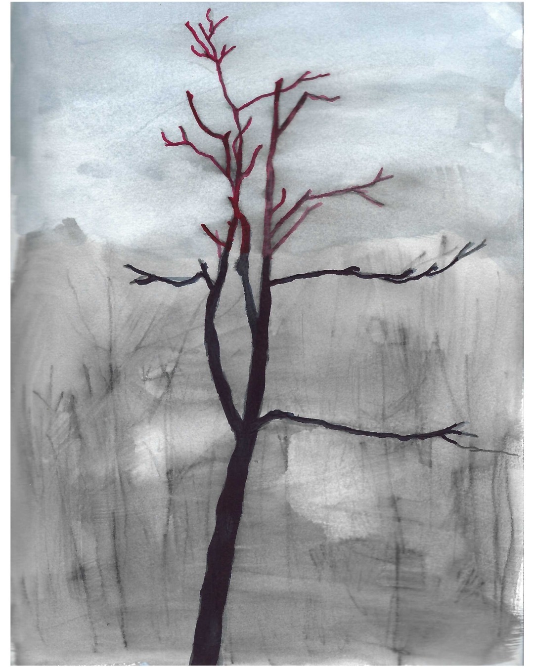 Red top, dead tree - page from sketchbook.

March 2024.

From Things seen while running.

#sketchbook #watercolour #landscapepainting #trees #laurentides #deadtree