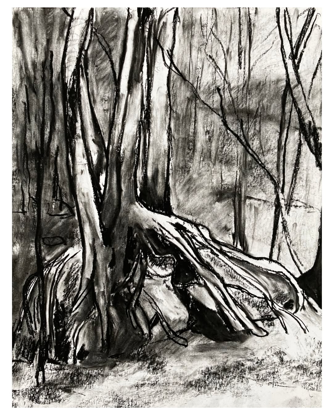 tree roots on rock, 35 x 28 cm, charcoal on paper.

Drawing from today's early morning drawing session.

#drawing #landscapedrawing #natureart #markdixon #laurentides #artonpaper #artsurpapier #worksonpaper #canadianart #trees #treeart