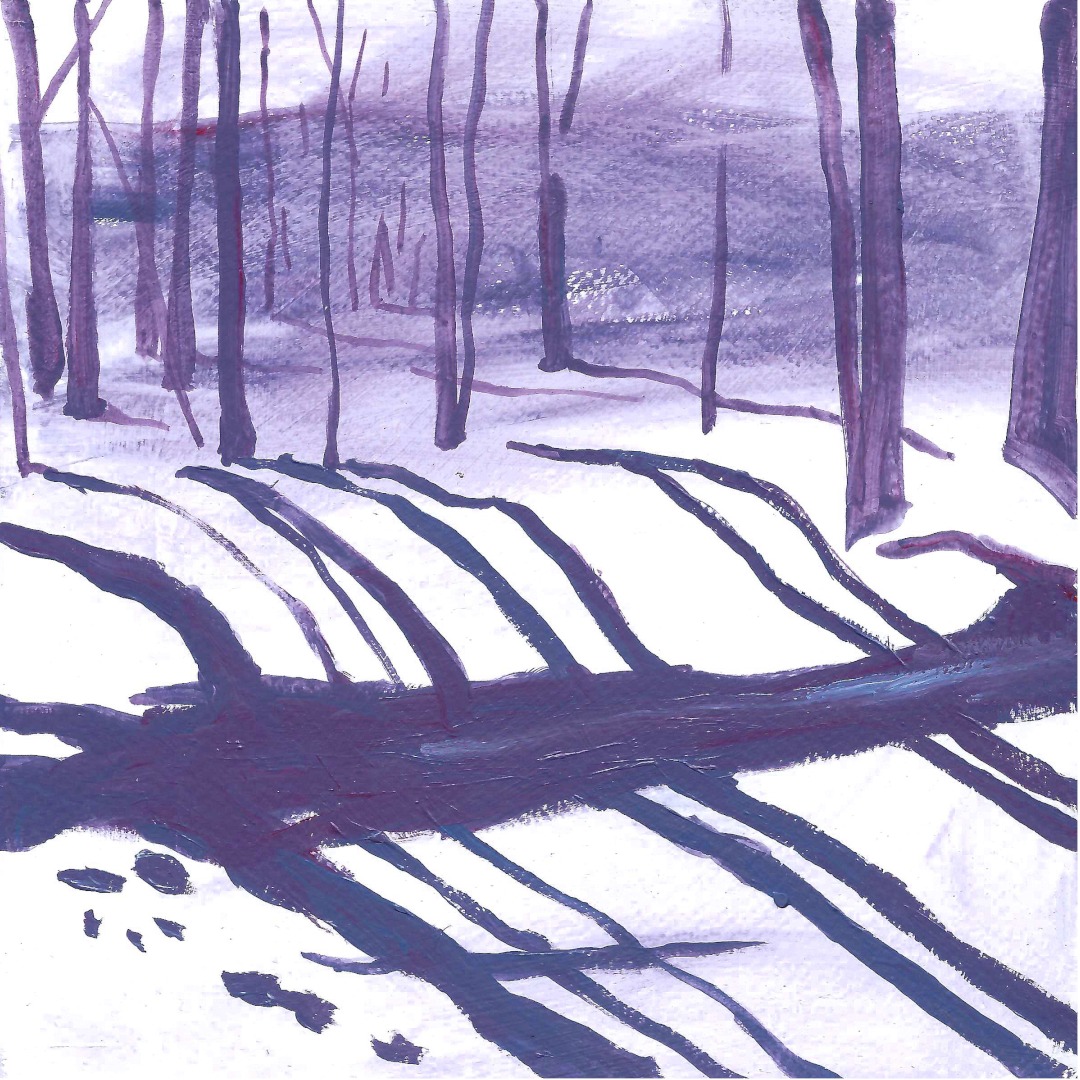 Snowbank.

Before the storms - we've gotten 2 bigs dumps of snow since.

25 x 25 cm, acrylic on paper.

#winterpainting #laurentides #canadalandscapes #purpletrees #artonpaper #worksonpaper #landscapestudy