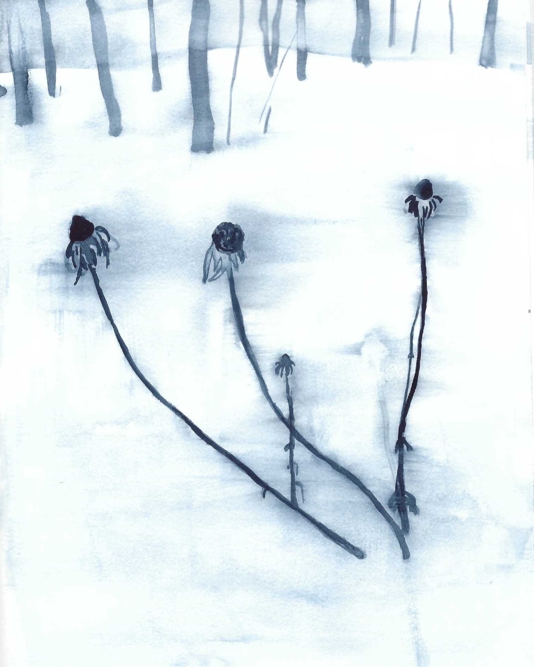 Dead flowers of winter.

#sketchbookpage #winterdrawing #plantdrawing #worksonpaper #landscapestudy