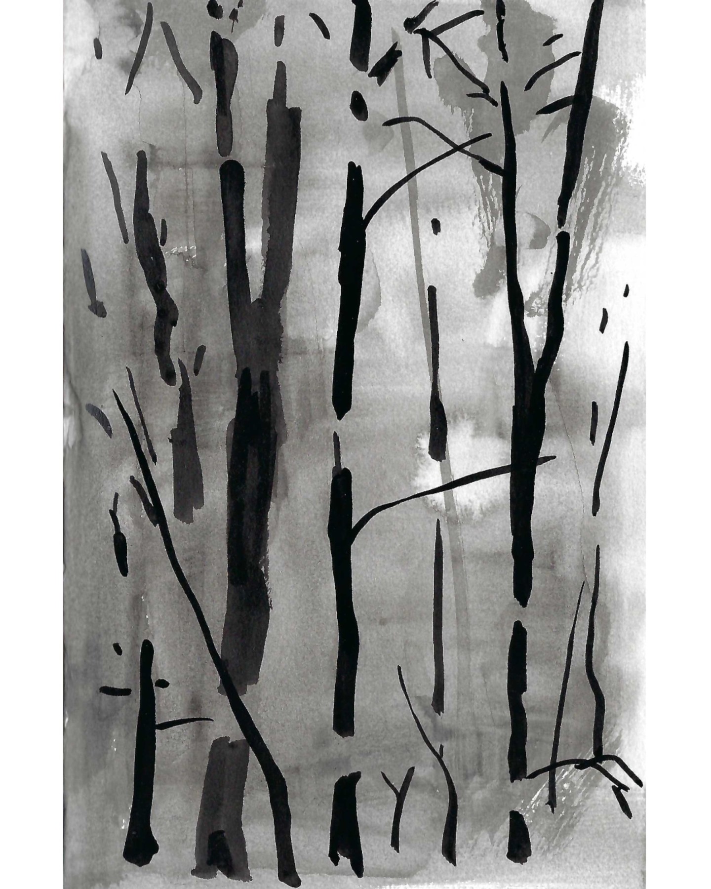 Black & white drawing of the changing colours of the Fall forest.

#forestdrawing #laurentides #laurentidesart #canadianlandscapedrawing #treedrawing