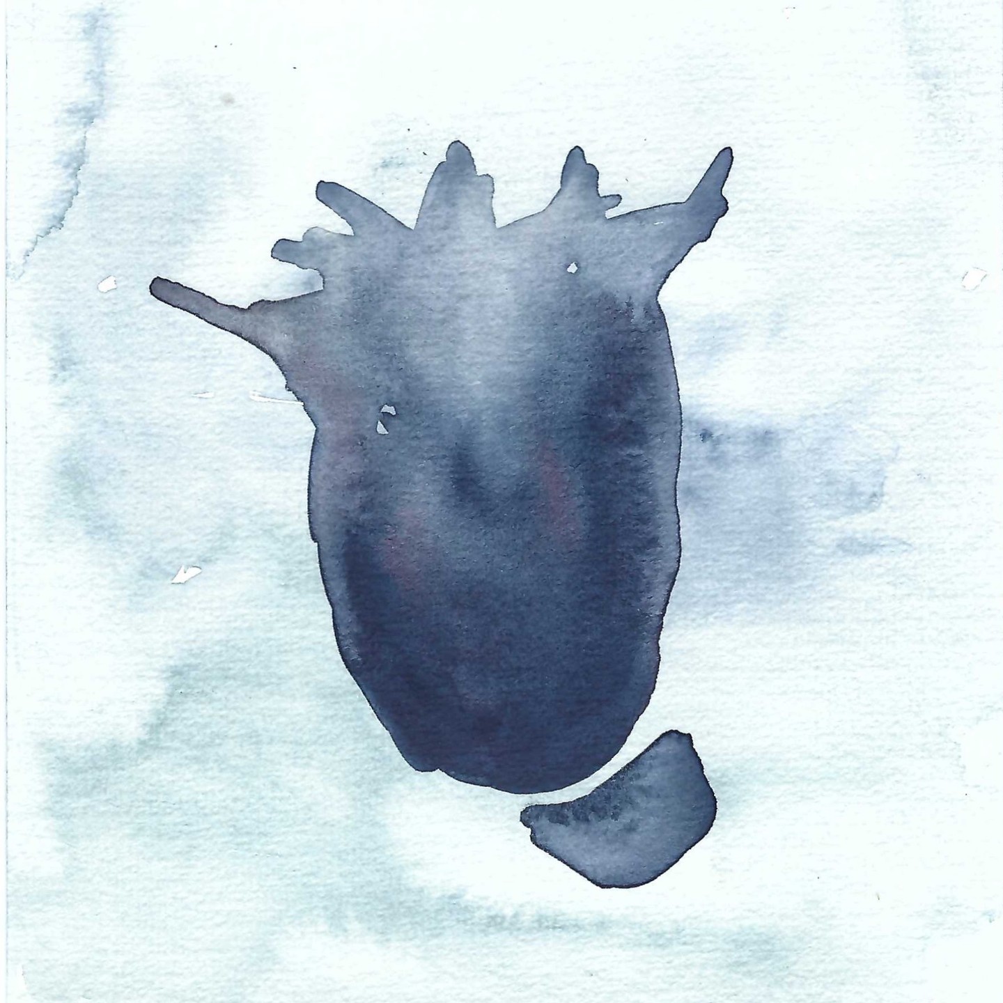 Blue form, small watercolour made over the weekend.
~ 15 x 15 cm

#watercolour #canadianpainter #artquebec #artsurpapier #artonpaper #sketch #markdixon