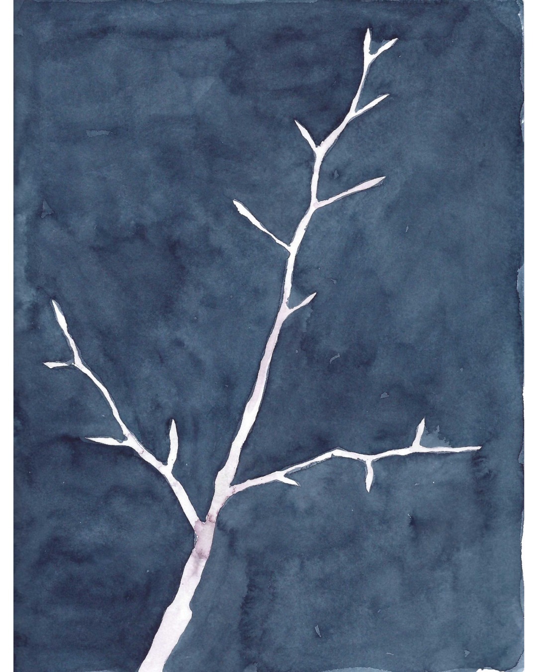 Beech, a page from a sketchbook.

Feb 4, 2024

#watercolour #beech #tree #sketchbook