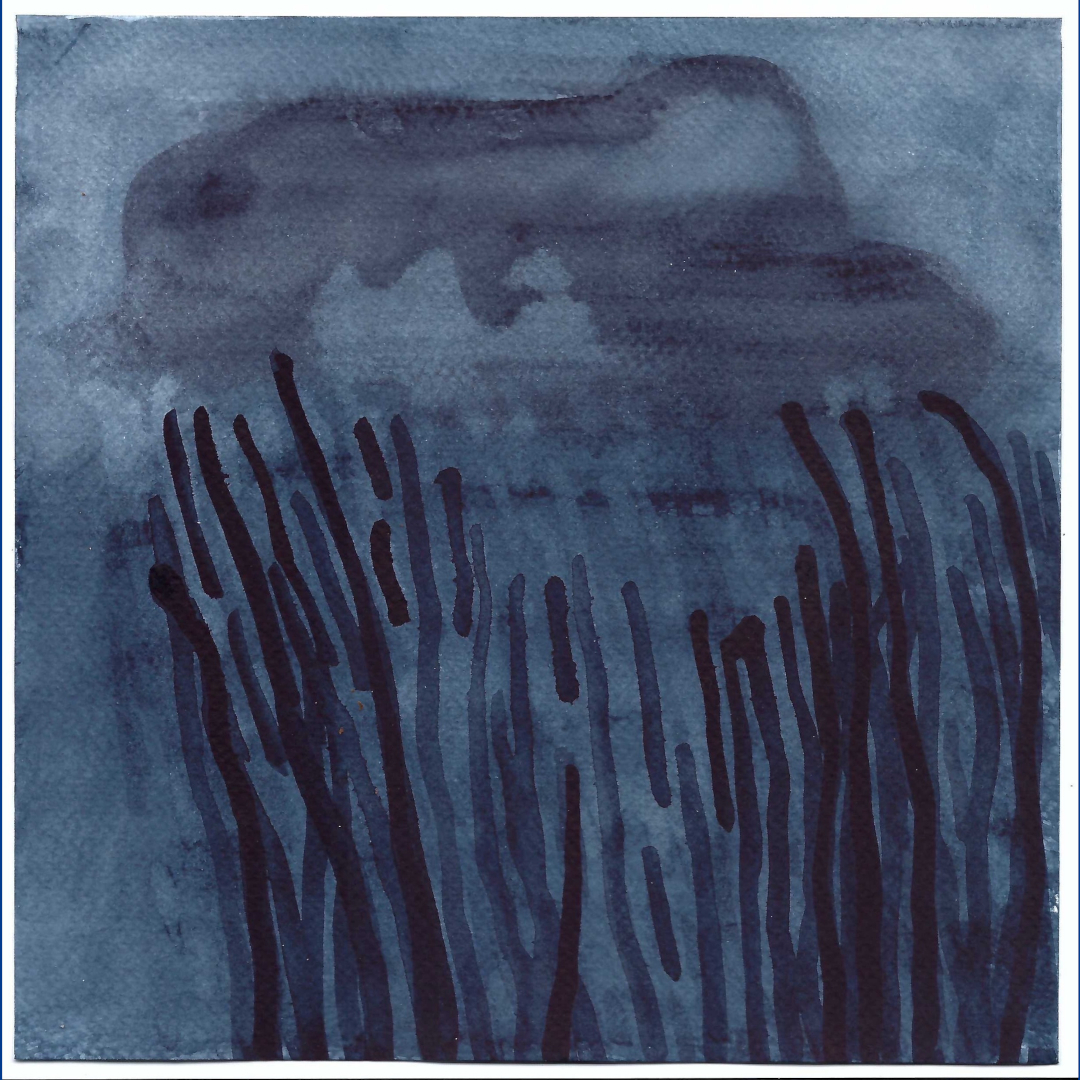 Rain on long grass, a small watercolour done this past weekend

25 x 25 cm

#watercolour #landscape #artonpaper #markdixon #artsurpapier #worksonpaper #canadianpainting #quebecpainting #artquebec