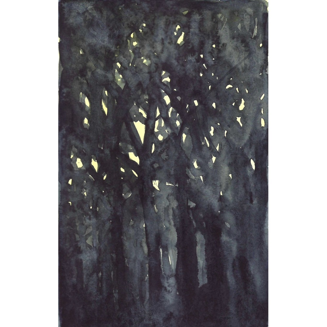 Canopy.

Small sketchbook.

#watercolourforest #forestpainting #landscapesketchbook #laurentides