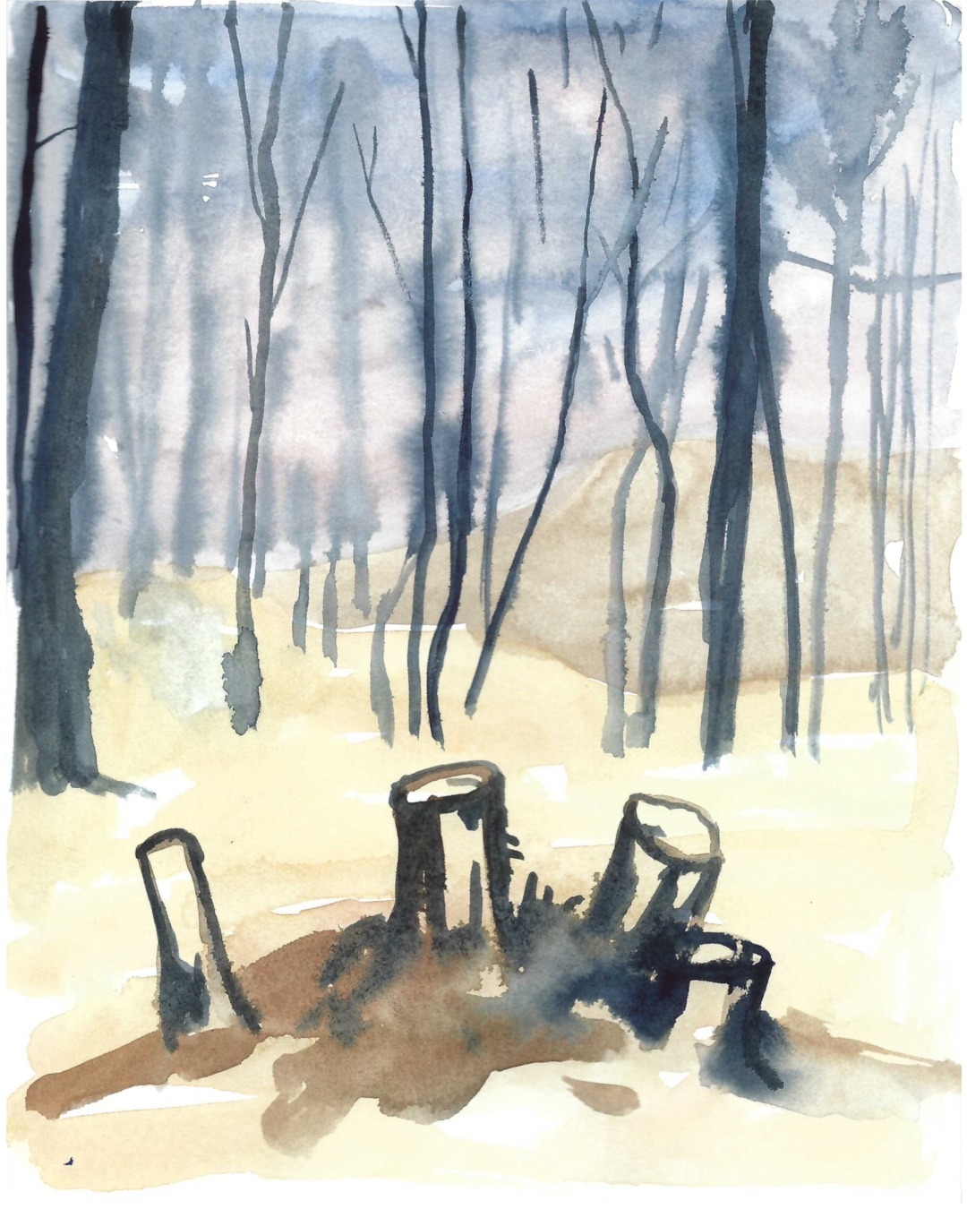stumps, page from new sketchbook, 25 x 20 cm

I came across these while on a hike in the woods behind our chalet.

#sketchbook #morinheights #vikingskiclub #landscapepainting #watercolour #markdixon #canadianpainting