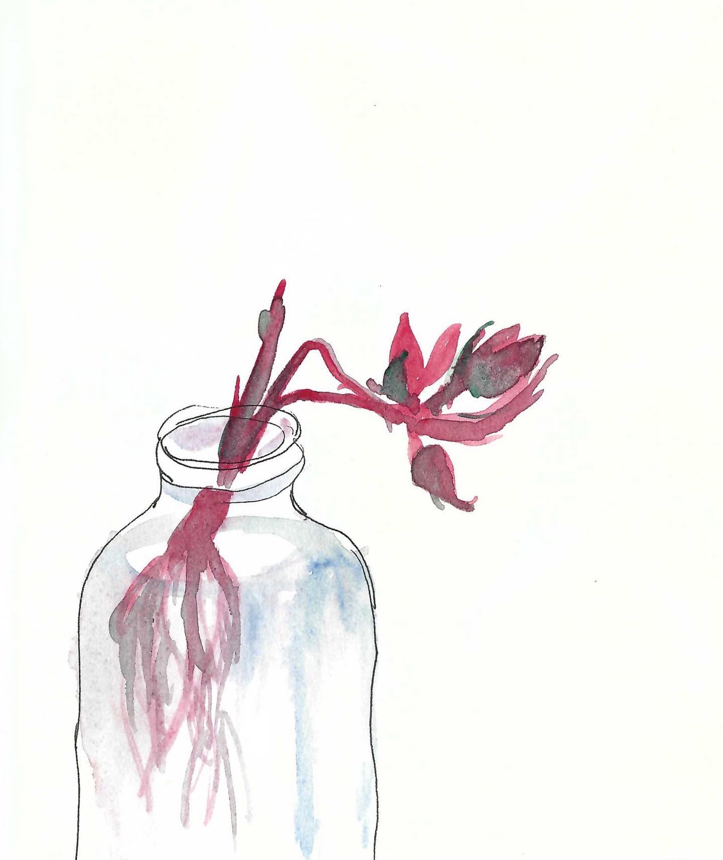 Rooting flowers in pot. Page from sketchbook. 16 x 19 cm #sketchbook #watercolour