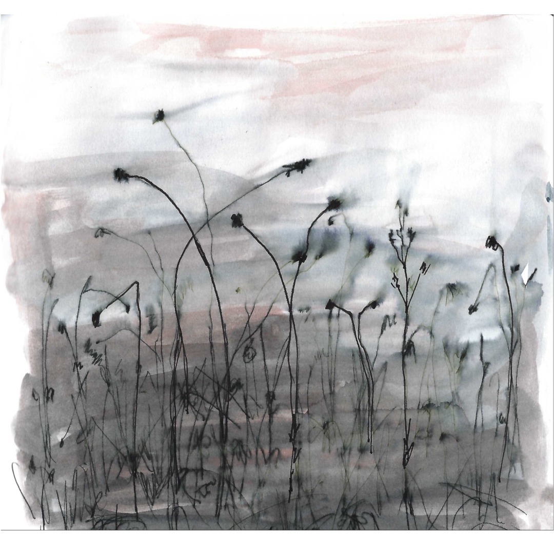 Fall garden, a page from my sketchbook.

#watercolour #sketchbook #markdixon #landscapepainting #artonpaper #artsurpapier #worksonpaper #laurentides #canadianartist #gardening #botanicalart #flowers