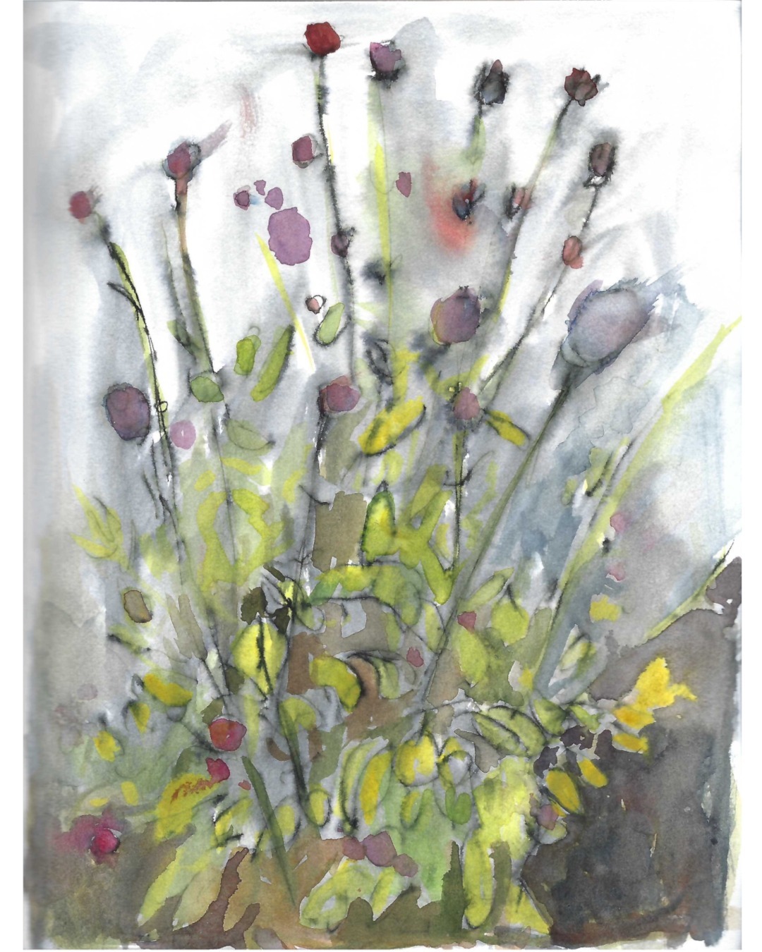 Flowers (gomphrena globosa) in new Strathmore sketchbook, January 8, 2024.

#watercolour #flowers #gomphrena globosa #GlobeAmaranth #flowerpainting #sketchbook #strathmore #markdixon