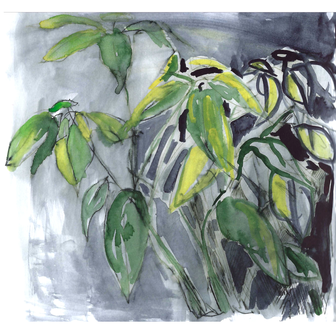 Plant at the cottage - a page from my current sketchbook & done sometime in November.

#sketchbook #plantdrawing #plants #artonpaper #worksonpaper #drawing #markdixon #dailysketch #laurentides #leuchtturm1917 #leuchtturmsketchbook